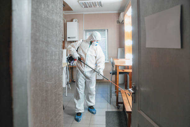 Best Asbestos and Lead Testing During Mold Inspection  in Iona, FL