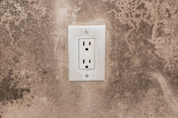 Best Mold Remediation for Vacation Homes  in Iona, FL